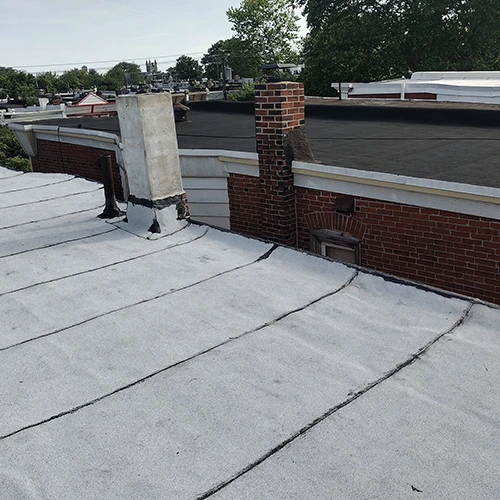 Expert Roof Replacement Services