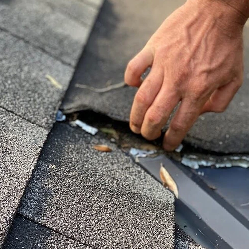 In-depth Professional Roof Inspection